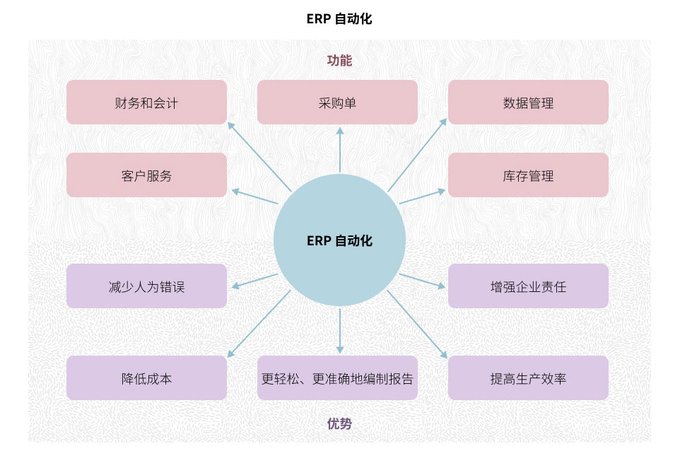 ERP 自动化