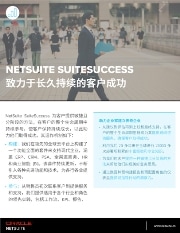 解决方案简介：NetSuite 成功之道