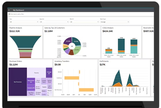 netsuite data analytics dashboard