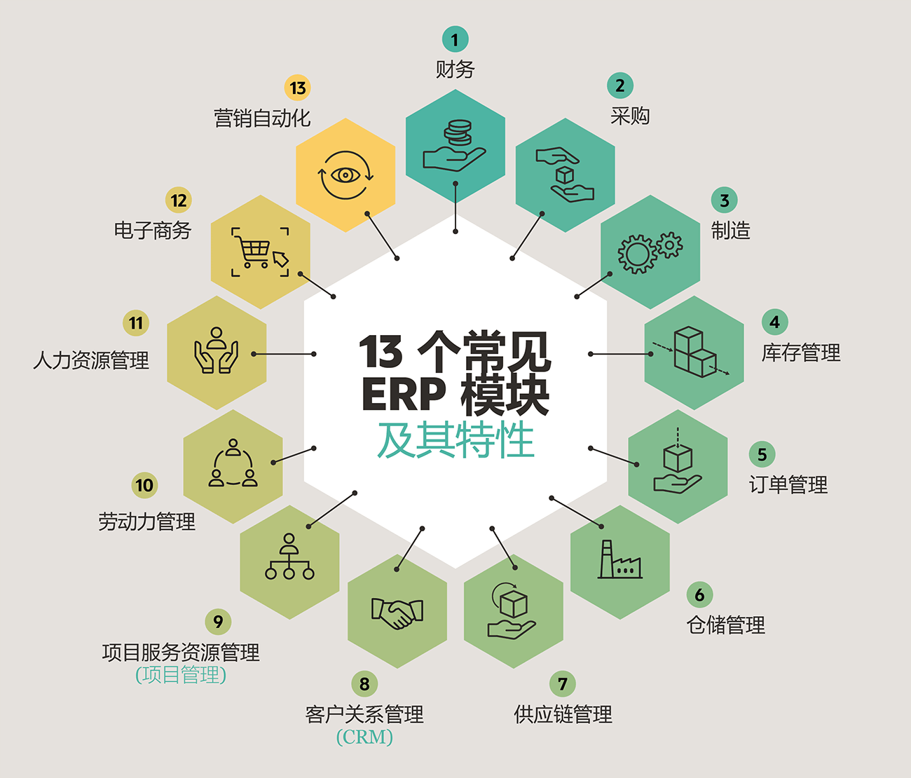 infograph erp modules