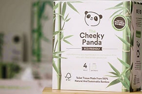 cheeky panda