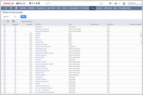 NetSuite 云财务和云会计软件 - 总账