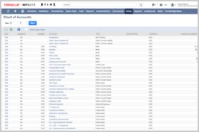 NetSuite 云财务和云会计软件 - 总账